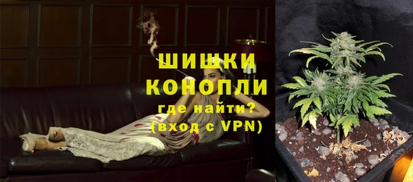 стафф Володарск