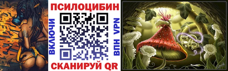 Псилоцибиновые грибы прущие грибы  MEGA вход  Новоржев 